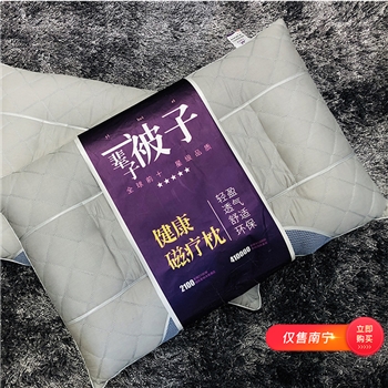 【仅售南宁】 家用 双人单人枕芯 助睡眠护颈椎  决明子荞麦皮磁石疗枕头  