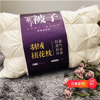 【仅售南宁】家用 单人双人装 白鸭绒羽绒枕芯  全棉枕头 