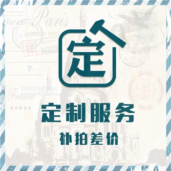君不见客耗品定制专用连接（单拍不发货）