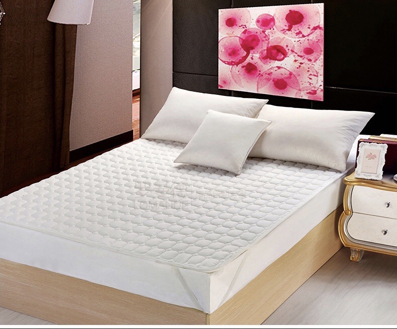 仅售南宁床笠式保护垫褥子防水抗菌透气可折叠防滑四季薄款床垫子